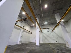 Loyang Industrial Estate (D17), Factory #498663671